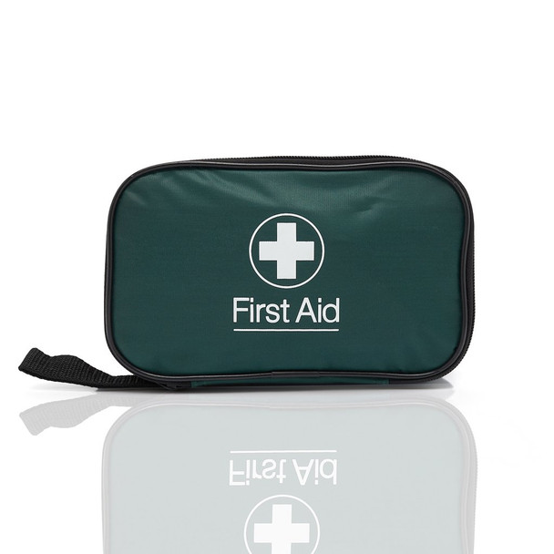 Blue Dot Bs 8599-1 2019 Personal Use First-Aid Kit In Green Zipped Bag - P1 P1