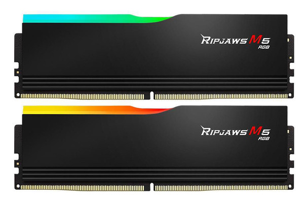 G.Skill F5-6000J3036F48GX2-RM5RK 36F48Gx2-Rm5Rk Memory Module F5-6000J3036F48GX2-RM5RK