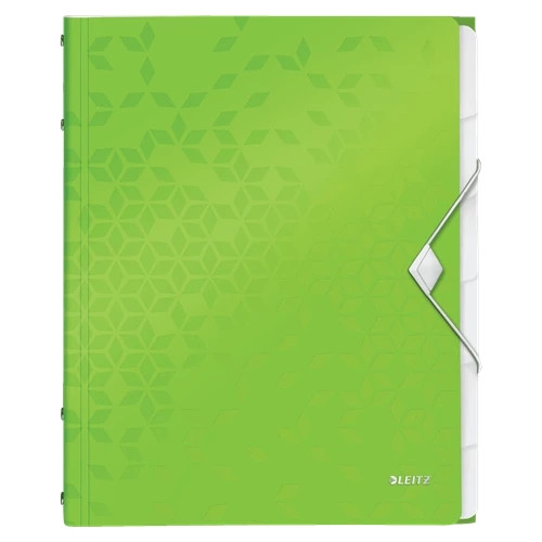 Leitz WOW Divider Book 46330054 46330054