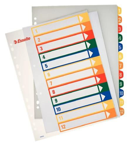 Esselte 100214 Printer Label Multicolour 100214