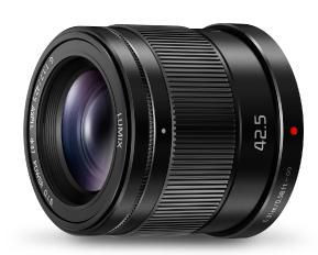 Panasonic HHS043EK H-Hs043E Milc Telephoto Lens HHS043EK