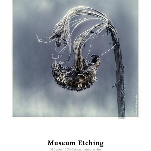 Hahnemuhle Museum Etching Art Paper 25 Sheets 10641649