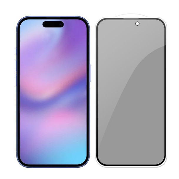 Own iPhone 17 Privacy Screen Protector DSO-IPH17PRIV