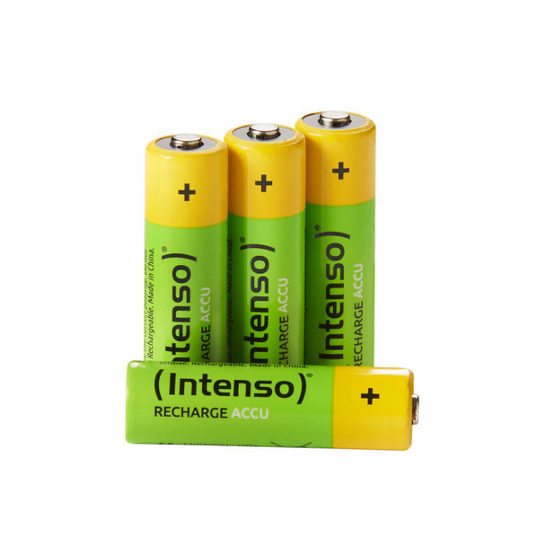 Intenso 7505624 Household Battery 7505624