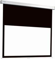 Projecta 10200115 ProScreen CSR with extended 10200115
