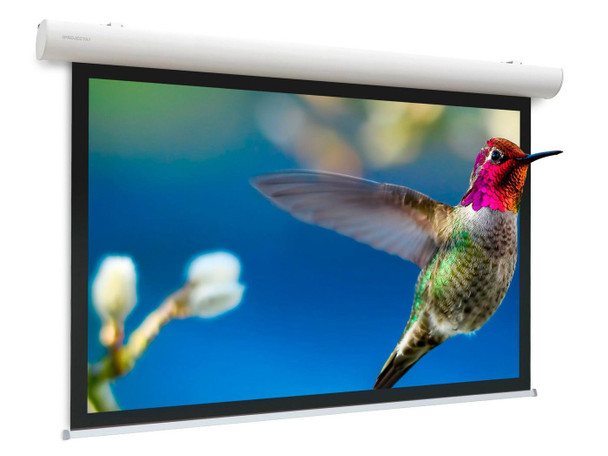Projecta 10143495 Elpro Concept  203x270 Matte 10143495