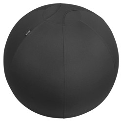 Leitz Ergo Active Sitting Ball with Stopper Function 65cm 65420089 65420089