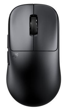 Pulsar PTZW21 Tenz Signature Edition Medium PTZW21