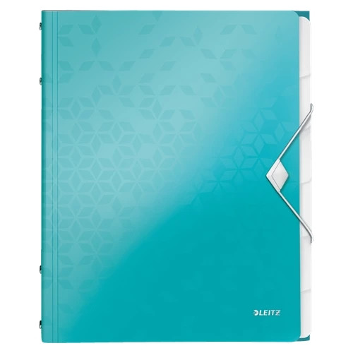 Leitz WOW Divider Book 46330051 46330051