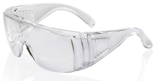 Beeswift Boston Glasses Clear BBBS