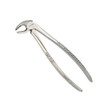 J & J Instruments - EXTRACTING FORCEPS #13 ENGLISH