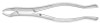 J & J Instruments - EXTRACTING FORCEPS #10S