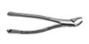 J & J Instruments - EXTRACTING FORCEPS #151