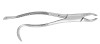 J & J Instruments - EXTRACTING FORCEPS #210