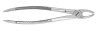 J & J Instruments - EXTRACTING FORCEPS #MD2