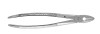 J & J Instruments - EXTRACTING FORCEPS #MD1