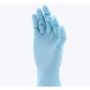 XCEED PF Nitrile Gloves Large 250/Bx