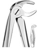 Nordent - Extraction Forceps, Lower Bicuspid, English Pattern #13
