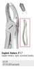 Nordent - Extraction Forceps, English Pattern, Upper Molars Right