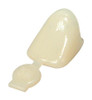 3M Polycarbonate Crowns 39 Upper Left Cuspid 5Bx
