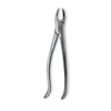 Premier - Forcep - 76S Root