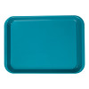 Zirc - Set Up Tray Flat B Teal