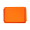 Zirc - Set Up Tray Flat B Neon Orange