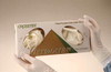 ClearView Nasal Mask and Capnography Bundle Large Adult Vanilla 12/Pk