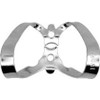 Hygenic Gloss Finish Winged Clamps 9, Anterior, H02763