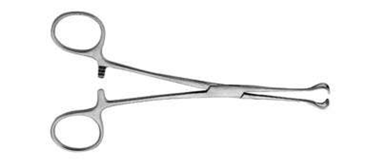 J & J Instruments - BABCOCK TISSUE FORCEPS 6.25