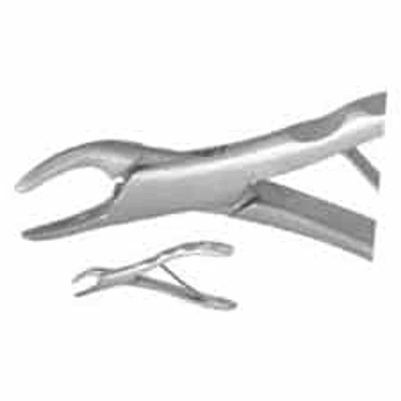 Nordent - Surgical Extracting Forceps 151 Lower Universal Stainless Steel