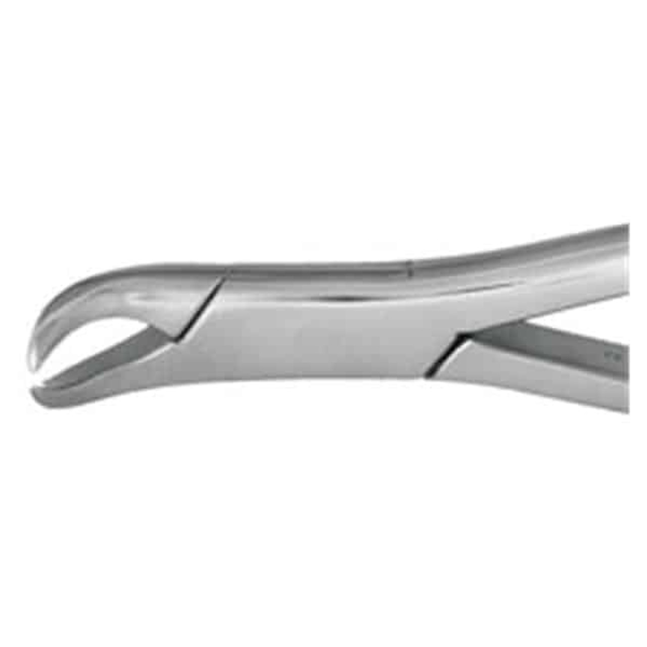 Nordent - Surgical Extracting Forceps 23S Mandibular Universal Pedo Stainless Steel