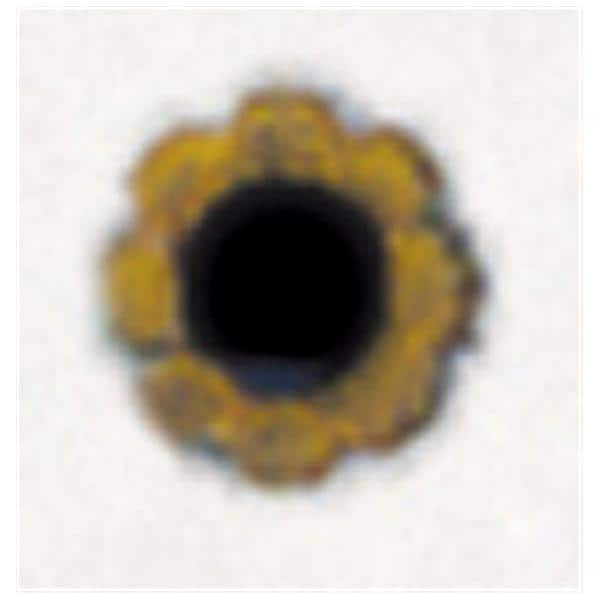 SHOFU ROBOT FG DIAMONDS, 0831-1