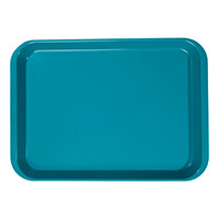 Zirc - Set Up Tray Flat B Teal
