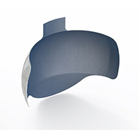 Molar Bands w/Extension, 6.0 mm, 60/Pkg., FX300