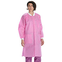 Large, Raspberry, 10/Pkg, 3660RBL