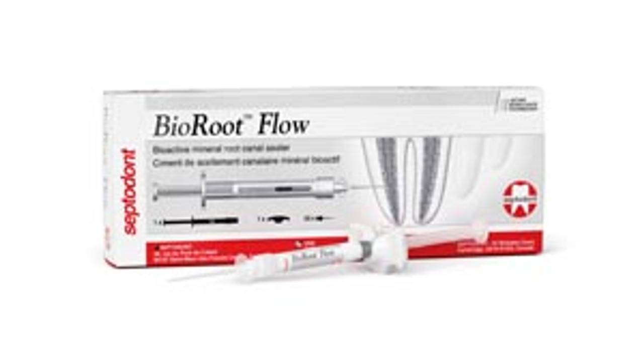 BioRoot Flow 2g Syringe