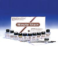 George Taub - Minute Stain 7 color Kit