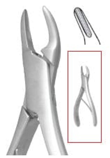 Nordent - Extraction Forceps #150sk Serrated