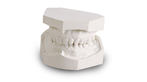 Orthodontic Plaster Snow White 25lb