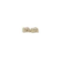 #5, Upper Right Molar, 5/Pkg., UR-5