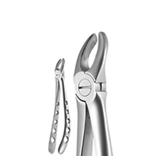 Upper Molar, Left, 1700 Upper Molar, Left, 1700