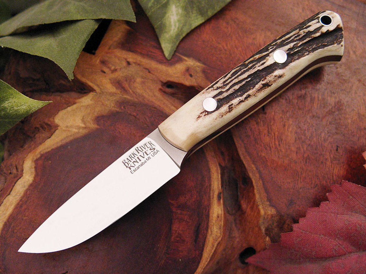 Bark River Knives: Little Creek Fixed Blade Knife w/ Sambar Stag