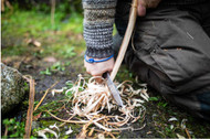 The Bark River Knives That Fit Your Bushcrafting Needs