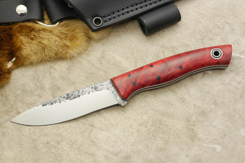 Fiddleback Forge, Andy Roy - Ladyfinger - Dyed Curly Maple - Flat Tang - Black & White Liners - 8