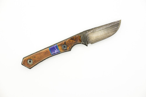 Lex Rex Customs - Mini Goblin - 2" Alabama Damascus Steel Fixed Blade W/ Stabilized Wood W/ Tru-Stone Handle 