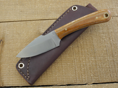 LT Wright Knives: Great Plainsman (Saber Grind) D2 Steel Fixed Blade Camping Knife w/ Dyed Bone Handle - 9