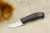 Fiddleback Forge, Andy Roy - Runt - Rosewood Handle - Flat Tang - Black and Lime Green Liners - 12
