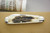 Great Eastern Cutlery Northfield #78 American Jack - 2 Blade - Sambar Stag - 1
