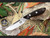 INTRODUCTORY SPECIAL! Bark River Knives: Adventurer Fixed Blade Knife w/ Macasser Ebony Handle